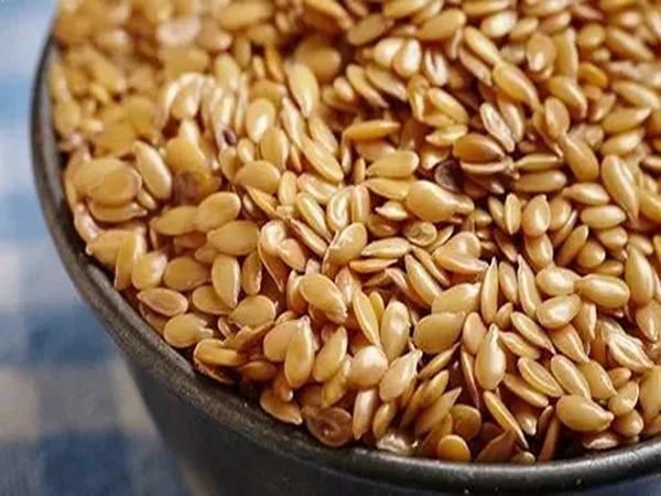 تصویر 3 از فروش تخم کتان خام + قیمت خرید به صرفه